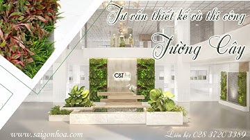 Thiết Kế Và Thi Công Tường Cây - Sài Gòn Hoa