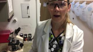 VETT 222 Task 8