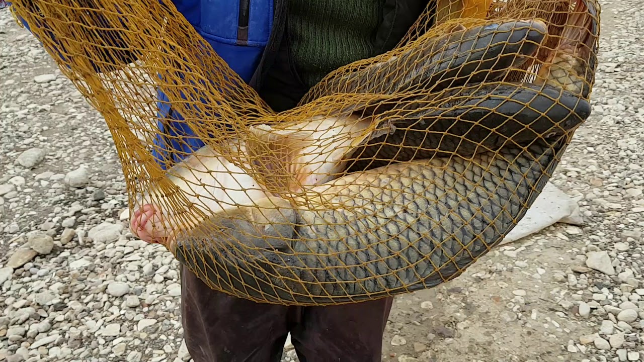 ٢٢ فبراير، ٢٠١٨