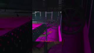 Mel Yells at HOLDEN Maddox #nopixel