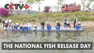Fish, Frogs Released in Rivers Across Chinese Cities to Improve Reproduction screenshot 4
