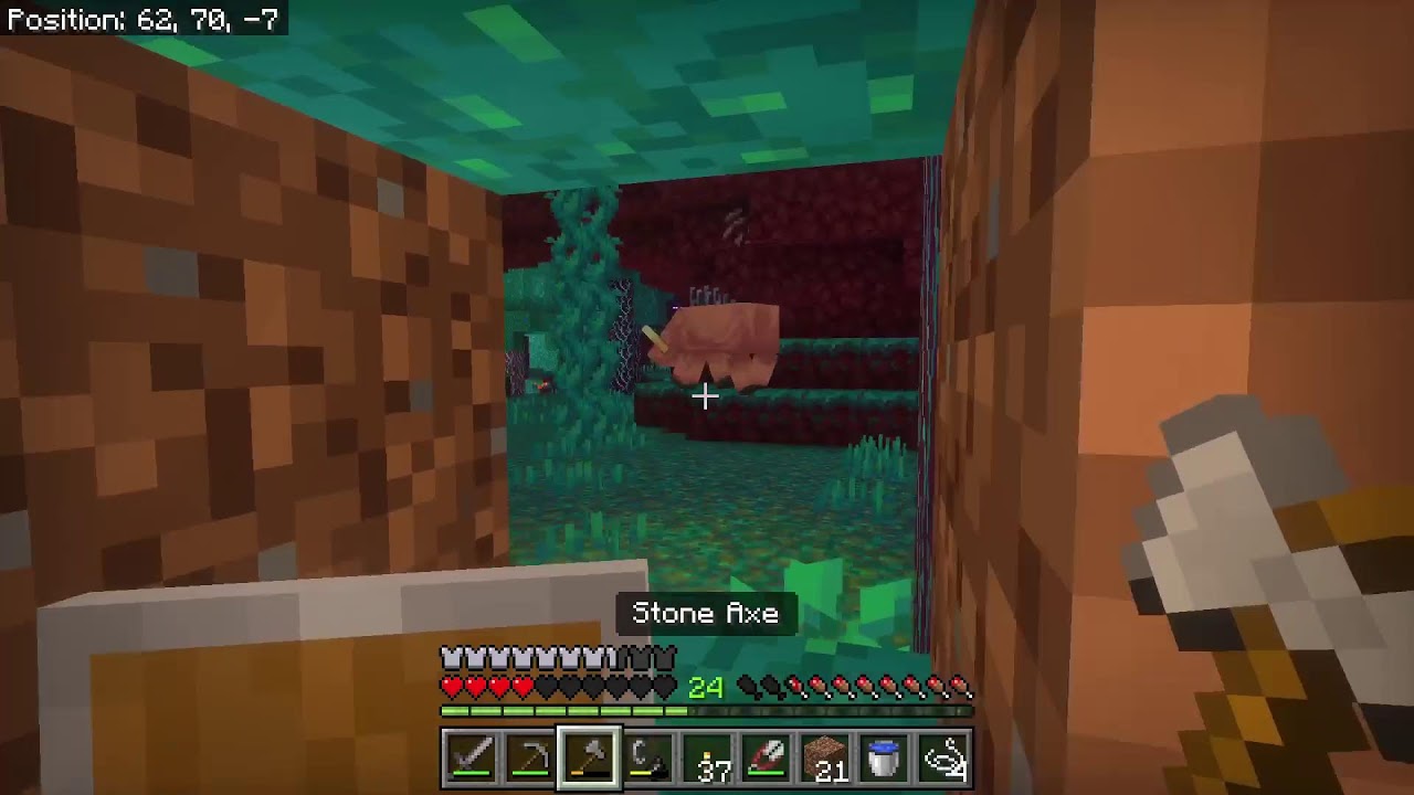 Playing Minecraft  10 viewes =voice reveal