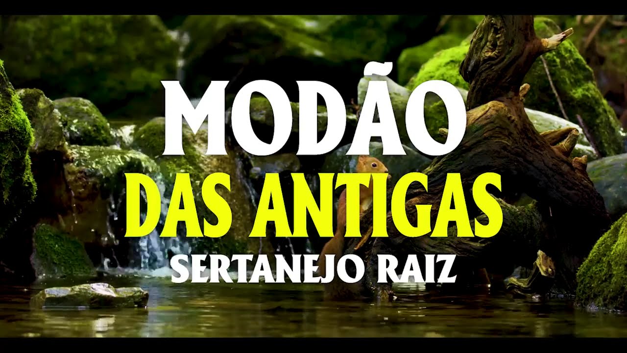 MODÃO DAS ANTIGAS 💖 AS MELHORES DO SERTANEJO RAIZ | MODA DE VIOLA INESQUECÍVEL