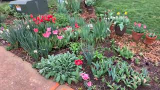 March 2020 Garden Tour
