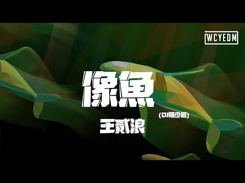 王贰浪 - 像鱼 (DJ阳少版)「我要忘了你的样子 像鱼忘了海的味道」【動態歌詞/pīn yīn gē cí】