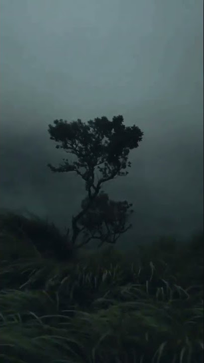 Scary Storm Sound Effect 😱 Power of Wind😱 🌪️ Rainy Weather ☺️ Scary Sound of Wind😟 #nature #sound