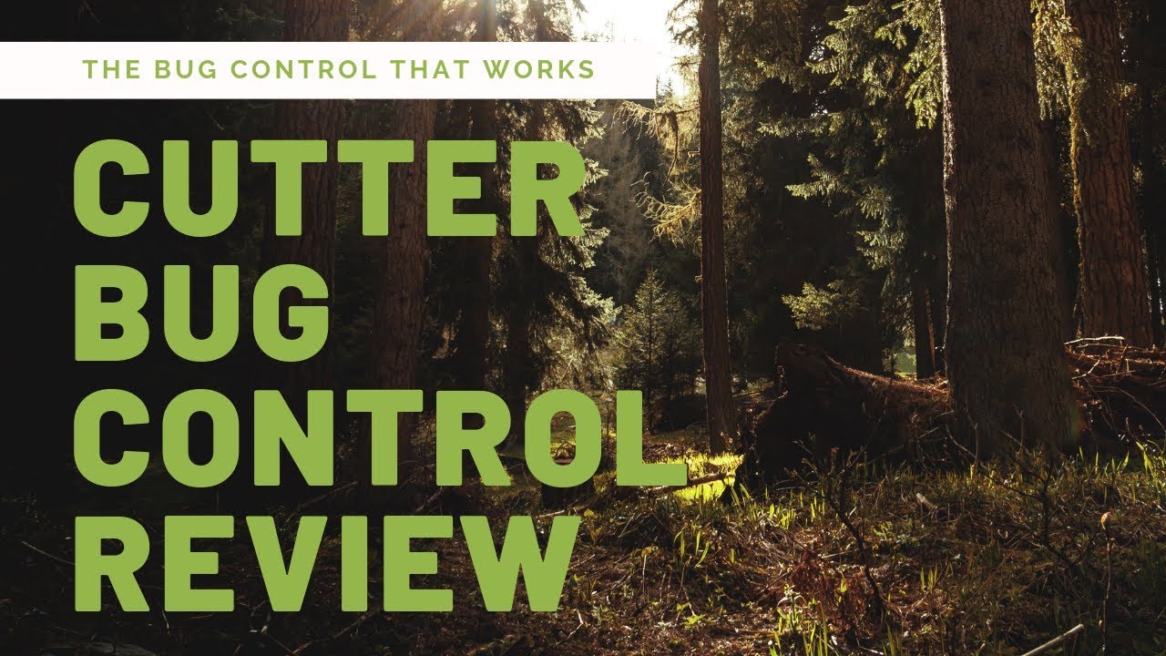 Cutter backyard bug control review - MaxresDefault