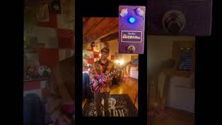 Dandrive Germanium fuzz