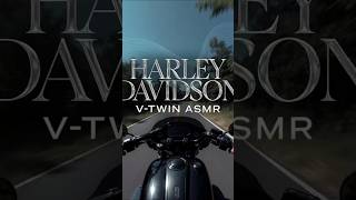 Harley Davidson V-Twin ASMR #HarleyDavidson #HarleyASMR #VTwin #EngineSound #Shorts