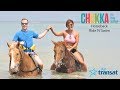 CHUKKA HORSEBACK RIDE N SWIM JAMAICA - RIDE HORSES IN WATER - COOL EXCURSION - WHAT TO EXPECT