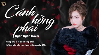 Cánh Hồng Phai - Ngân Ngân Cover |  Nhạc Trẻ Hay Nhất Tiktok Từ Trước Đến Nay