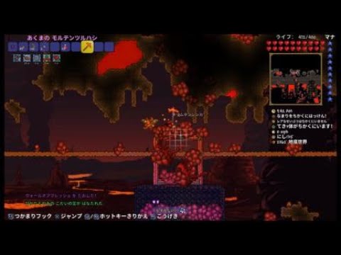 テラリア 上級 肉壁 Youtube