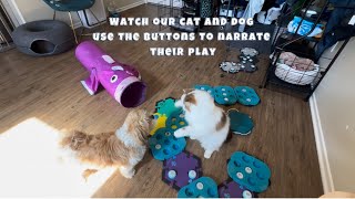 What If Alastor and Coda Use The Buttons To Talk To Each Other?
