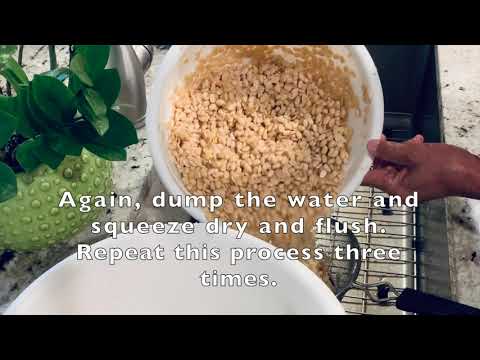 How Long To Soak Soybeans For Tempeh