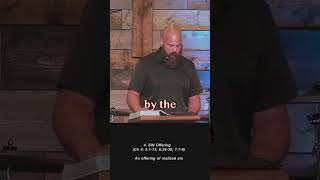 Sin Offering Leviticus AKA Guilt Offering