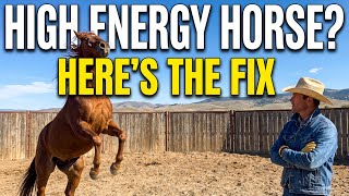 High Energy Horse? Here’s The Fix