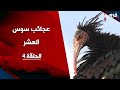 عجائب سوس العشر أبو منجل الأصلع عجائب سوس العشر أبو منجل الأصلع