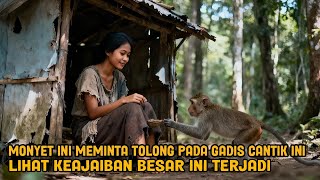 VIRAL! TAK SENGAJA MENOLONG MONYET INI GADIS CANTIK INI SEKETIKA MENJADI KAYA RAYA