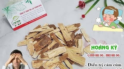 Hoàng Kỳ | Công dụng của hoàng kỳ