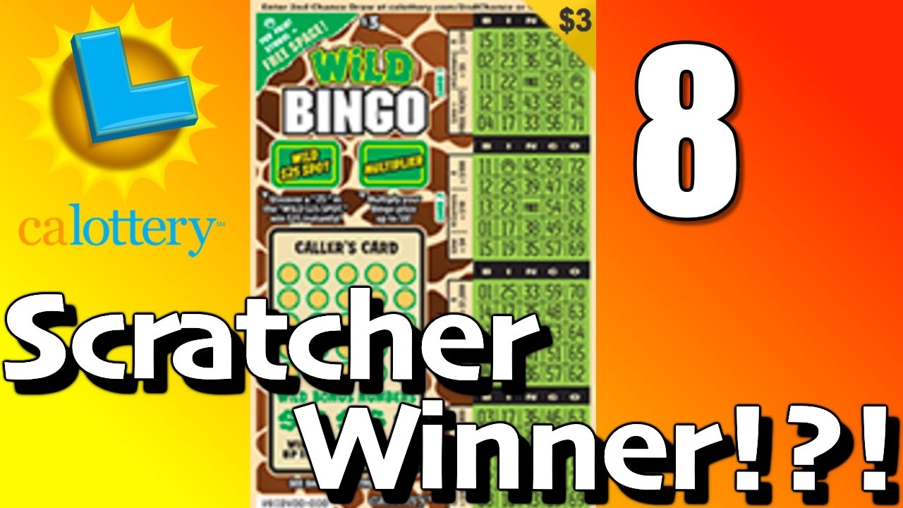 Calgary Bingo Calgary Bingo