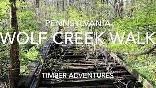 A Wolf Creek Walk: A Peek into our Historic Roots along Nature’s Paths