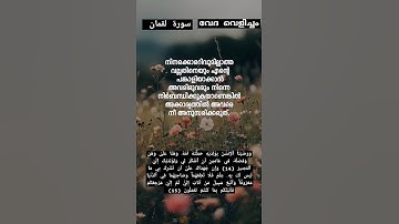 #اسلام_صبحي ـ سورة لقمان #shortvideo