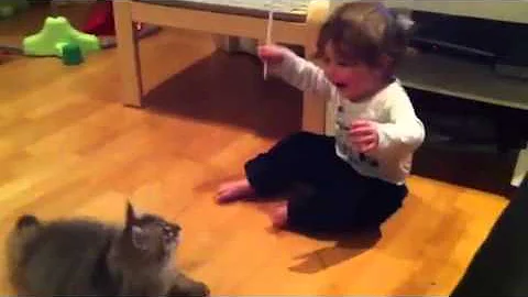 Watch the video about Baby Ethan playing with Siberian Kitten