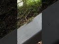 ✨ Pingxi New Taipei Walk 🇹🇼 | Mountain Old Street 4K Walking Tour No Talking｜新北市 平溪 2026