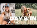 DAY(S) IN THE LIFE | SORTING, CLEANING, FDOE, ERRANDS - LIL BIT OF EVERYTHING | Holley Gabrielle