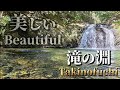 滝の淵/雨の翌日の美滝✨【群馬県甘楽郡】Takinofuchi/Beautiful waterfall the day after the rain.