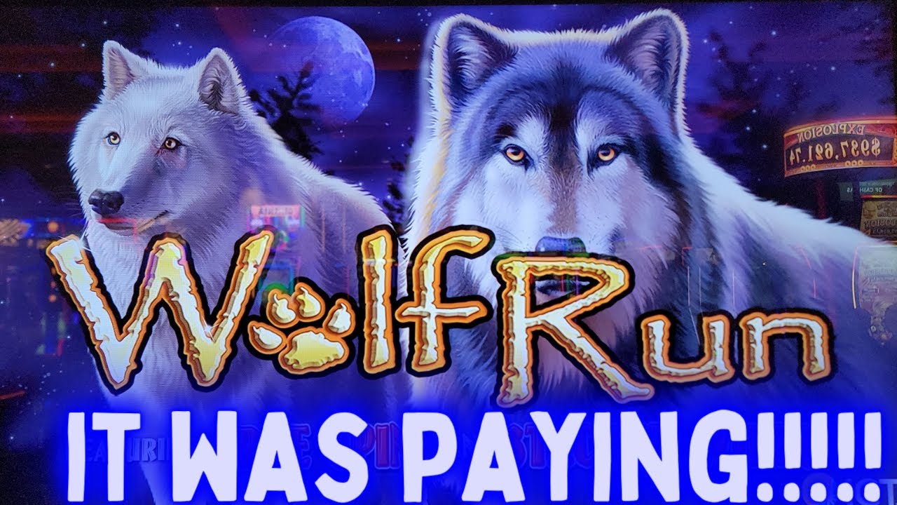 wolf run slots