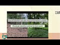 Evolution 2026 Virtual Conference: Adaptation I