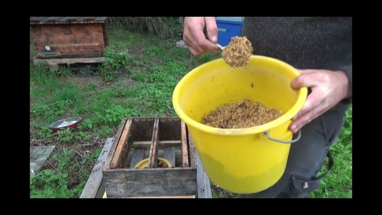 Nasse à frelons - installation au rucher Curtil