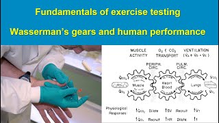 Fundamentals of Exercise Testing