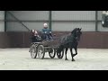 Test drive with piet okkema stal de noeste hoeve friesian mare friesian horse