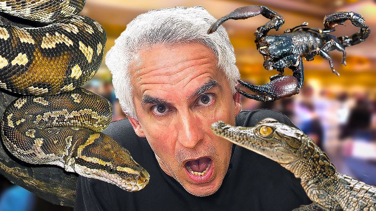 SOS African Reptile Expo Tour!