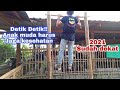 Olahraga pagi hari dirumah
