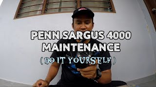 Penn Sargus 4000 Maintenance