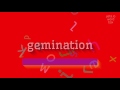 How to say "gemination"! (High Quality Voices)