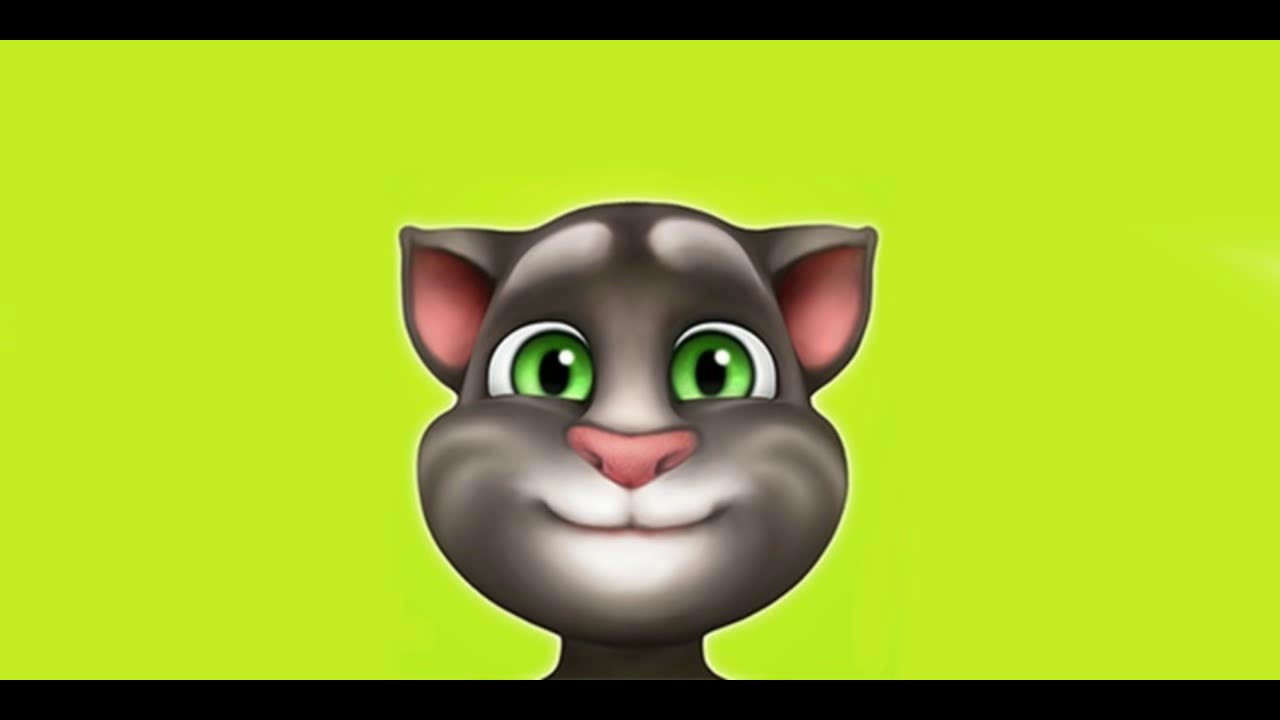 Маска говорящий том. My talking Tom. Talking Tom Cat. Talking Tom Cat 2016. Talking Tom 2010.