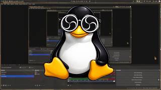 OBS on Linux | Settings for quality image and smooth 60fps
