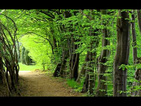 Kevin Macleod Heartbreaking