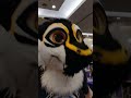 Went to #canfurence and gave out #pickles & #jam. I met some awesome peeps...and @birbswings :-P