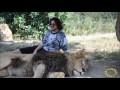 Филипп Киркоров в сафари парке львов "Тайган".17.07.16. часть 2.