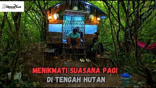 Download Lagu diguyur hujan deras, tidur nyenyak di shelter daun di tengah hutan, relaxing rain sound MP3