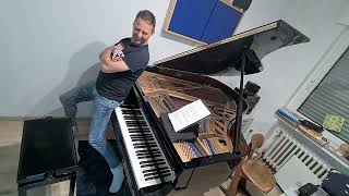 Piano Medley: Hedwigs Theme - Nothing else matters - She´s like the wind - Pirates of the Caribbean