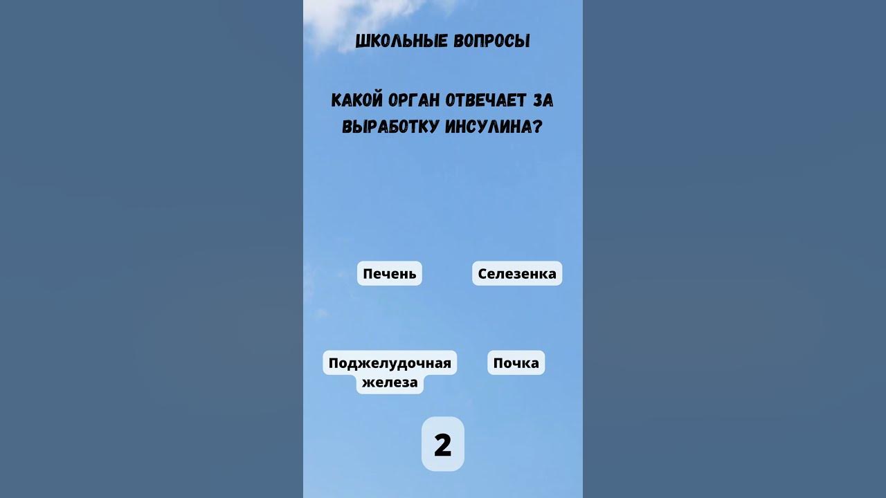 Тест на время: Школьные вопросы с вариантами ответов 🕐📚 - YouTube