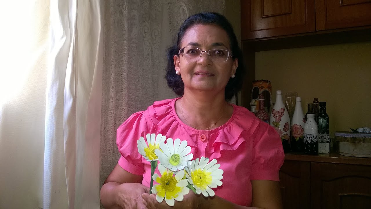 Margaridas de caixa de ovo-Passo a Passo