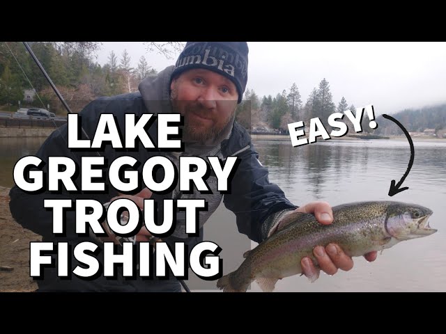 Lake Gregory Winter TROUT Fishing, RAINBOW Trout, San Bernardino  Mountains