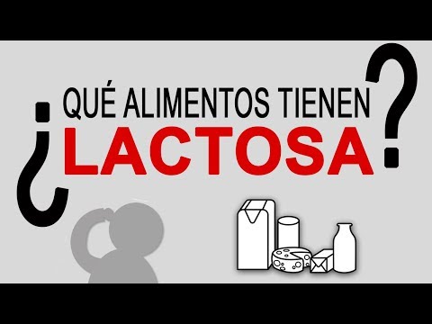 Video: ¿Dónde se encuentran los lácteos?